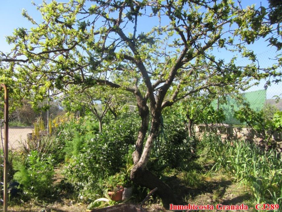 Cortijo i Albondon, Granada - foto 4